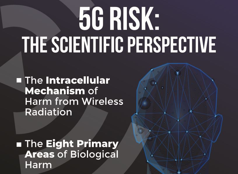 pall 5g risk the scientific perspective